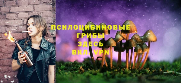 стафф Покровск