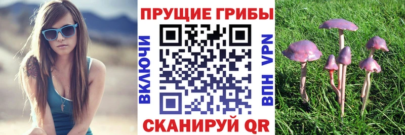 Псилоцибиновые грибы мухоморы  Купить  Теберда 