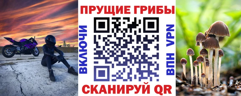 Псилоцибиновые грибы Cubensis Теберда